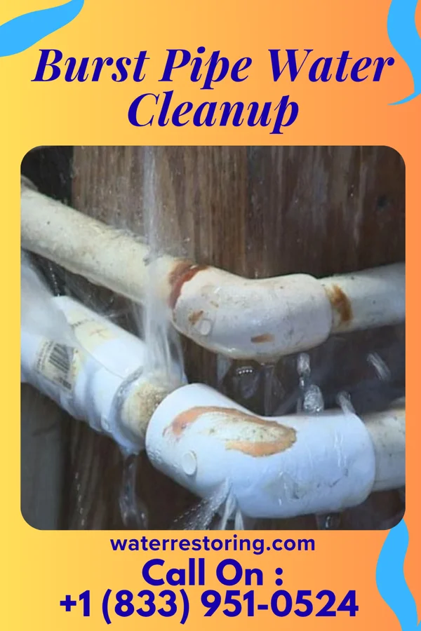 Burst Pipe Water Cleanup in Darby, PA
