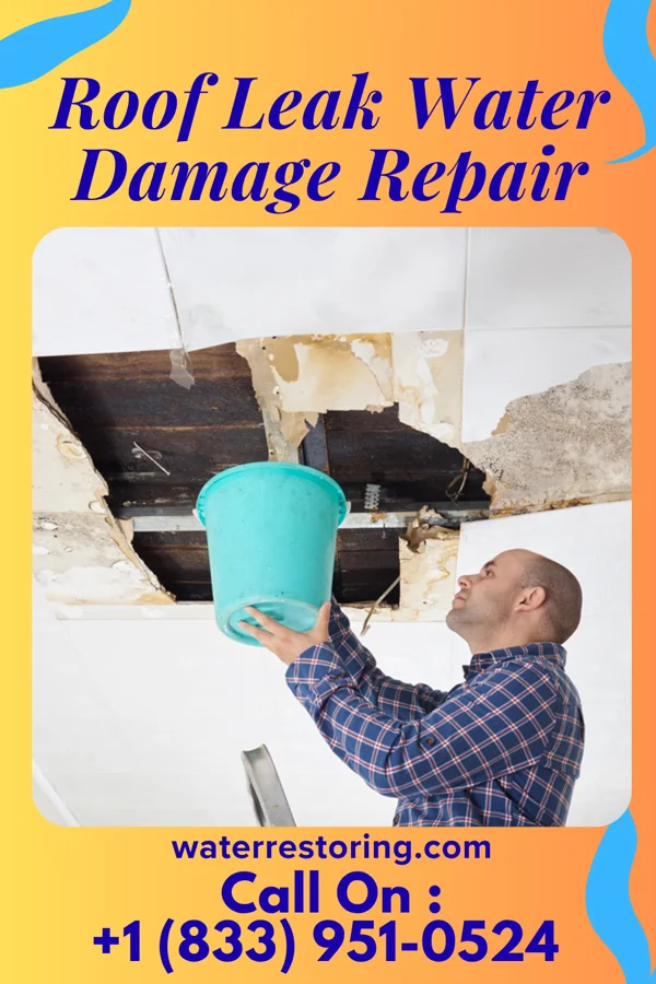 Roof Leak Water Damage Repair in Darby, PA