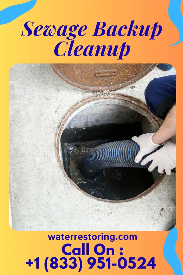 Sewage Backup Cleanup in Darby, PA